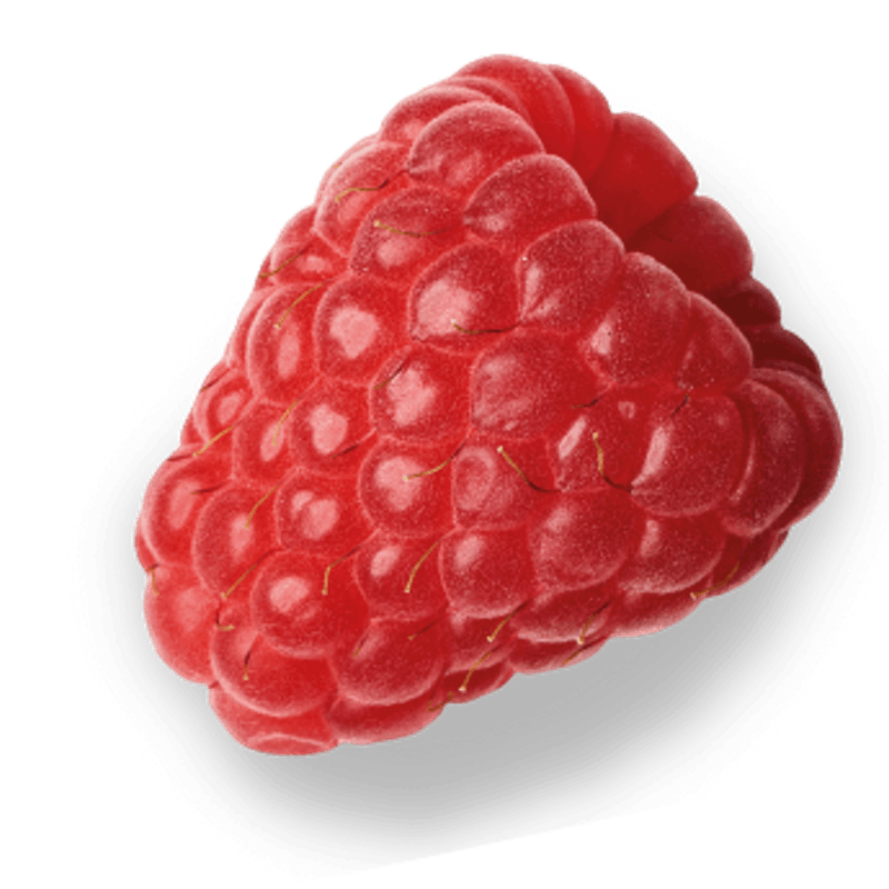 Detail Picture Of A Raspberry Nomer 26