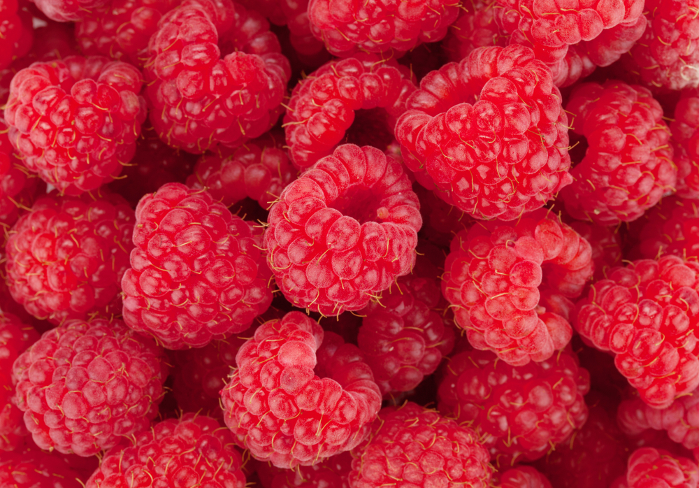 Detail Picture Of A Raspberry Nomer 27