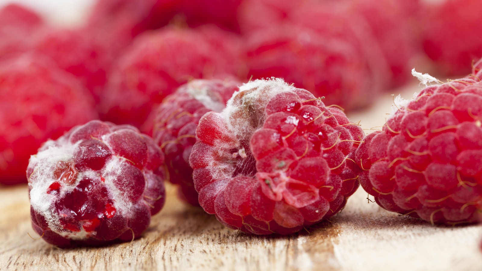 Detail Picture Of A Raspberry Nomer 44