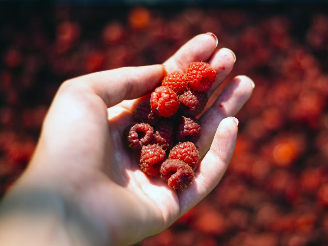 Detail Picture Of A Raspberry Nomer 53