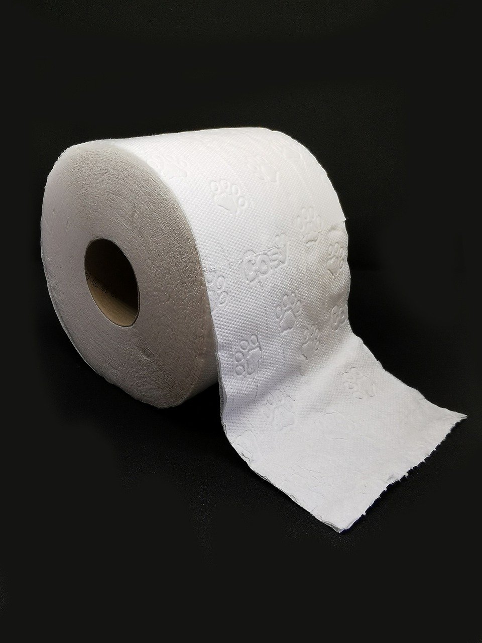 Detail Picture Of A Roll Of Toilet Paper Nomer 2