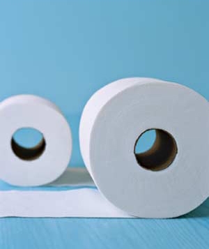 Detail Picture Of A Roll Of Toilet Paper Nomer 28