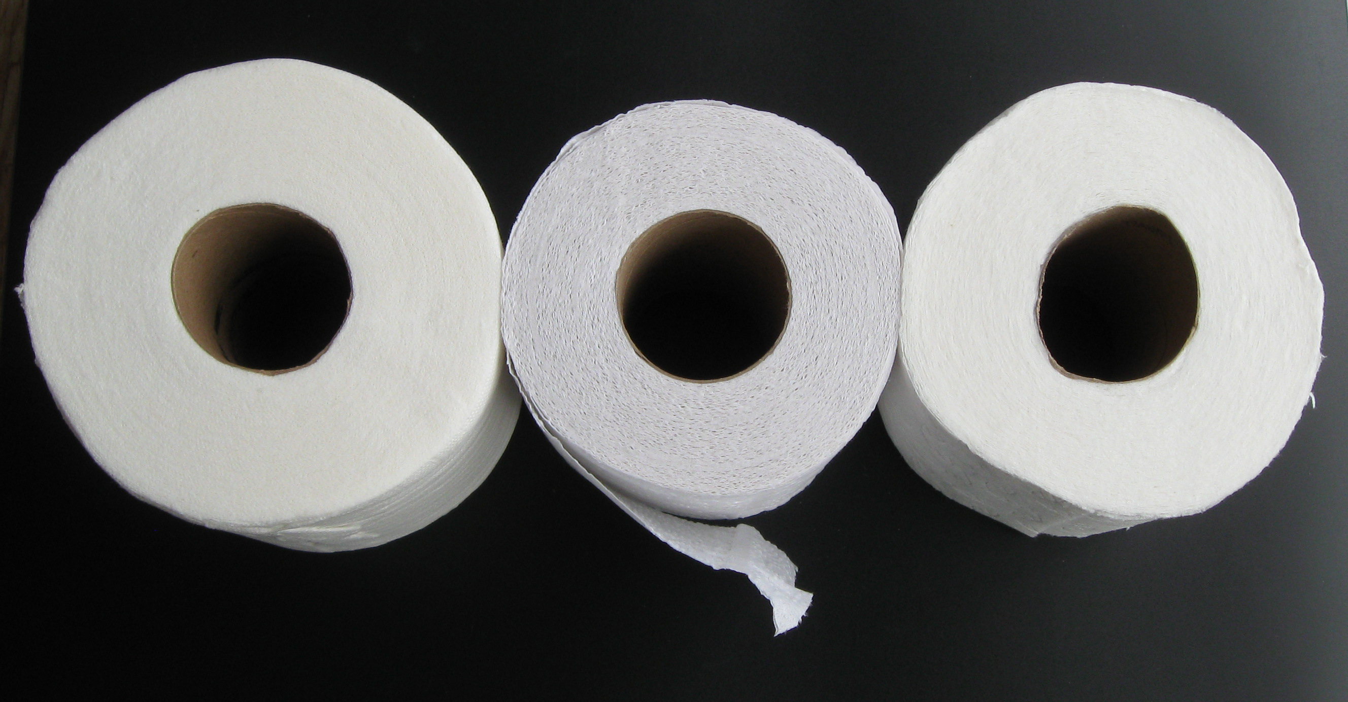 Detail Picture Of A Roll Of Toilet Paper Nomer 45