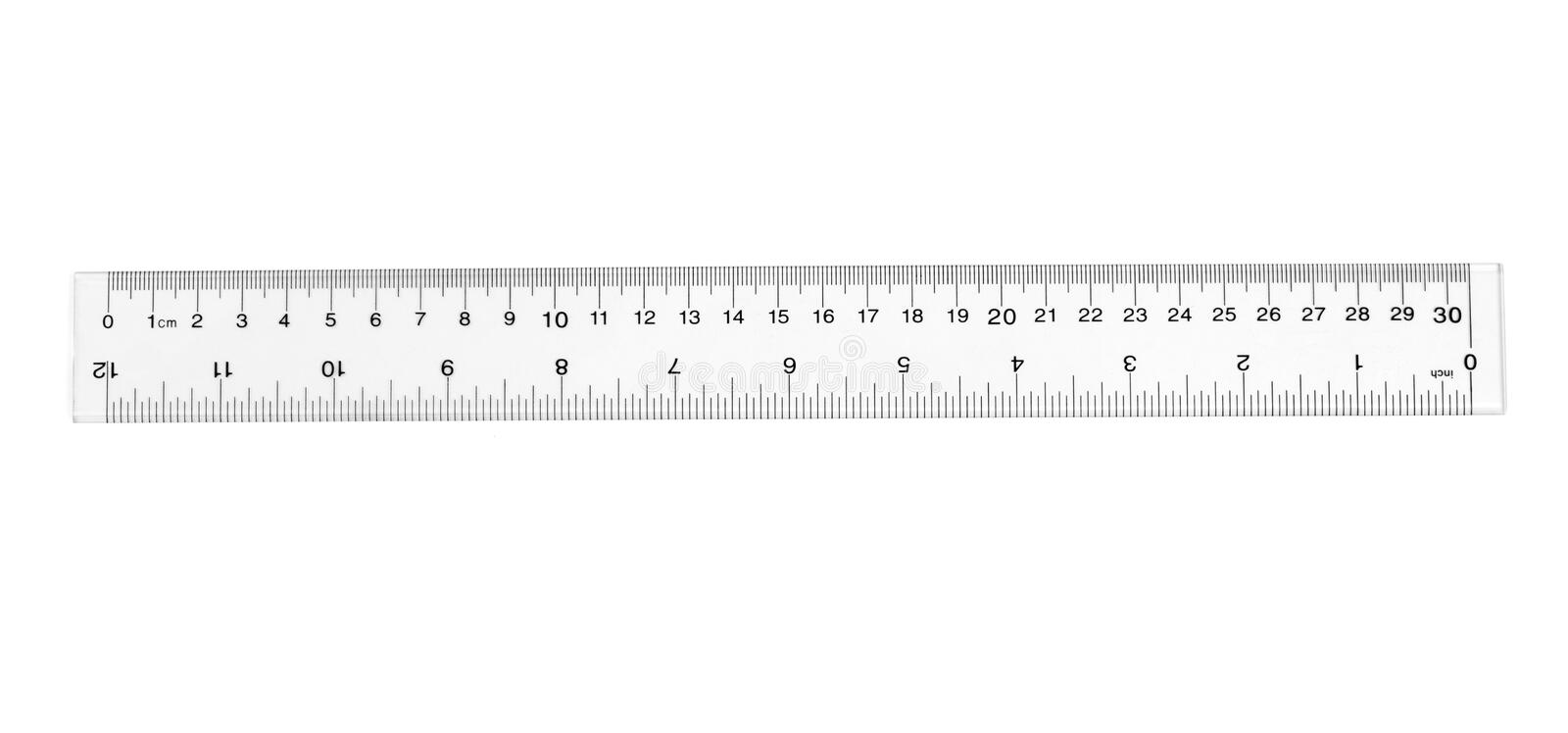 Detail Picture Of A Ruler Nomer 17