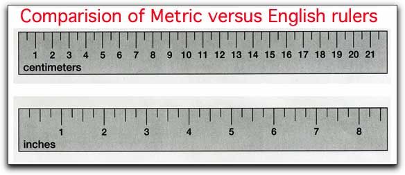 Detail Picture Of A Ruler In Cm Nomer 53