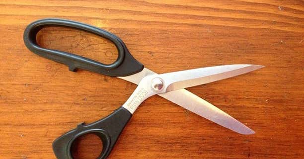Detail Picture Of A Scissors Nomer 40