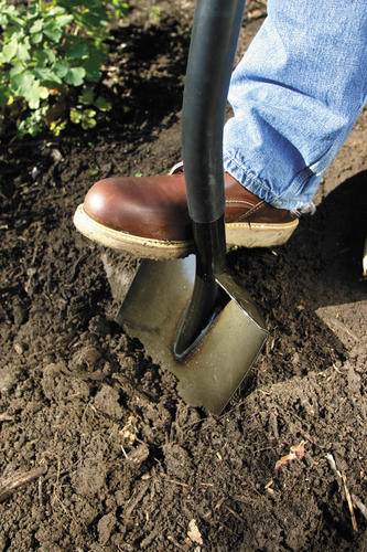 Detail Picture Of A Shovel Digging Nomer 14