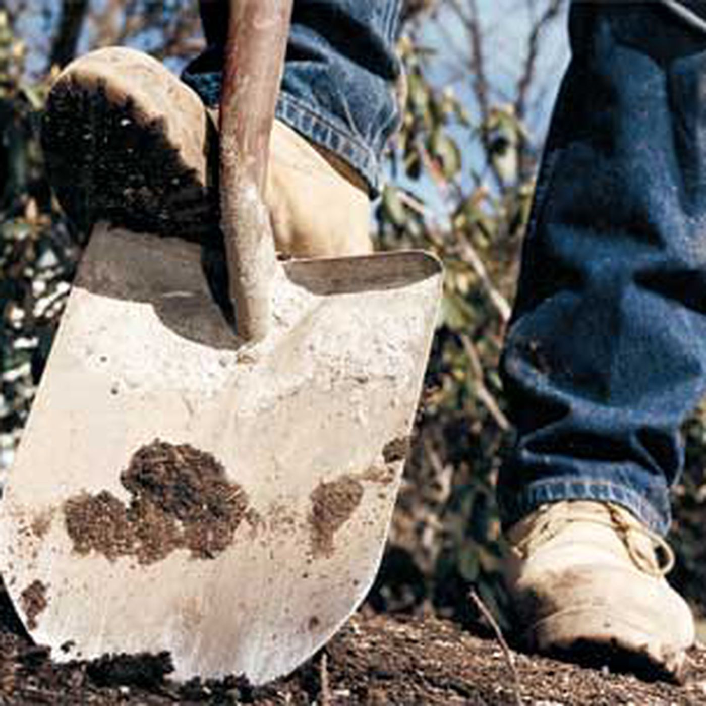 Detail Picture Of A Shovel Digging Nomer 20