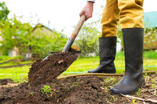 Detail Picture Of A Shovel Digging Nomer 26