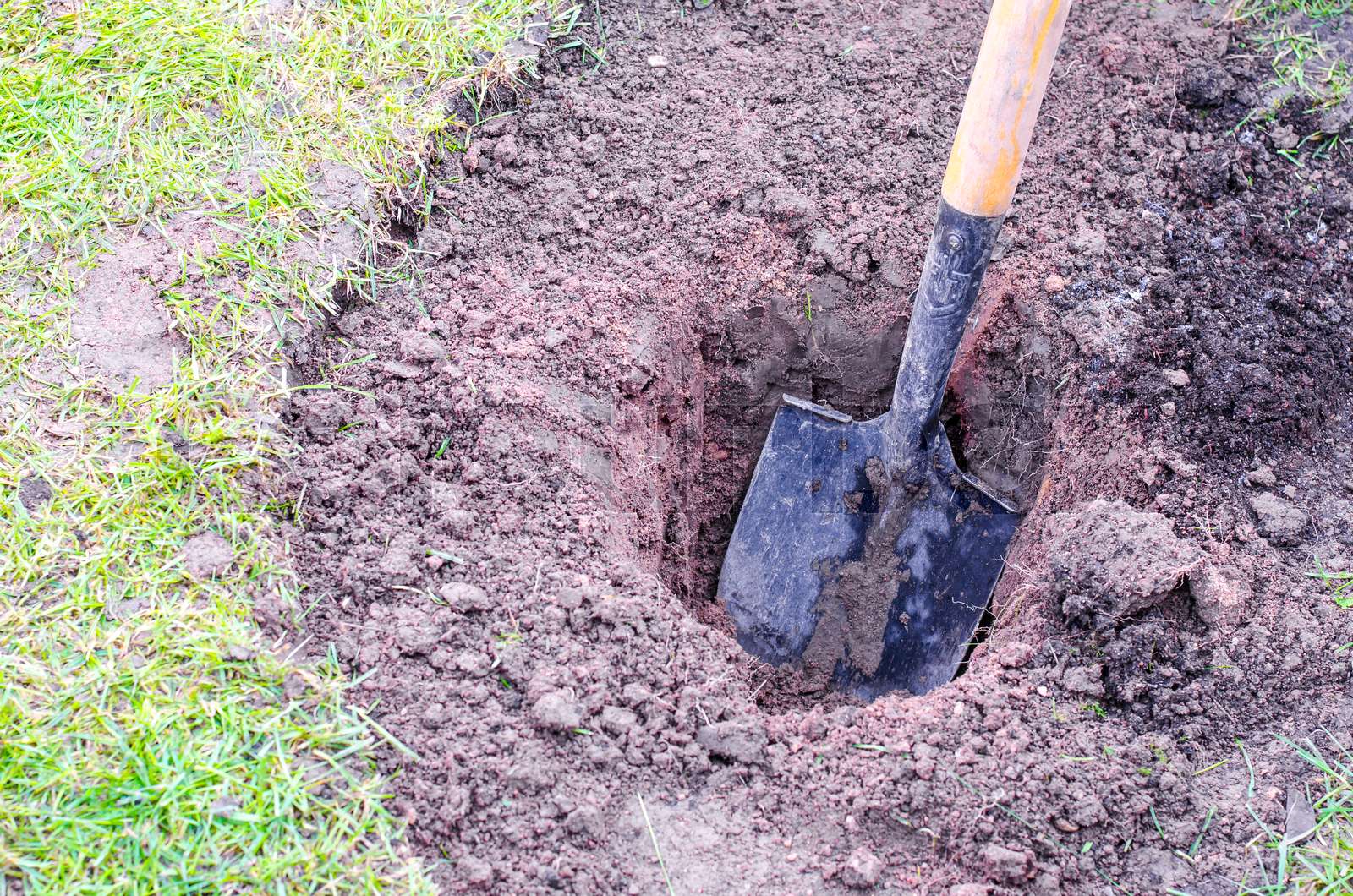 Detail Picture Of A Shovel Digging Nomer 37