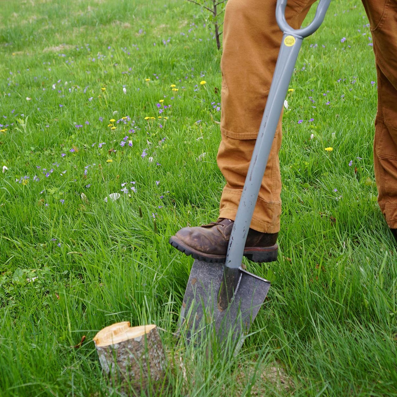 Detail Picture Of A Shovel Digging Nomer 47