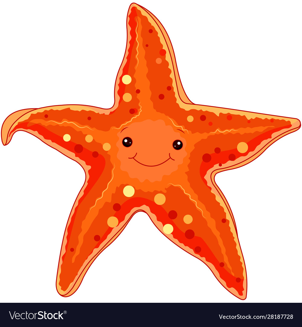 Detail Picture Of A Star Fish Nomer 31