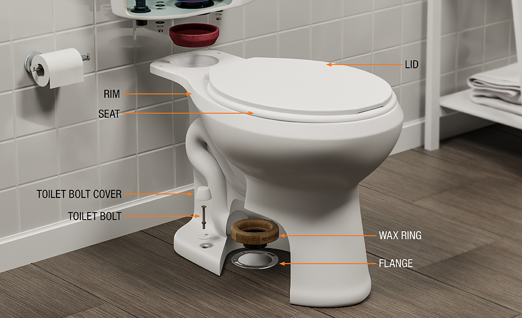 Detail Picture Of A Toilet Nomer 26