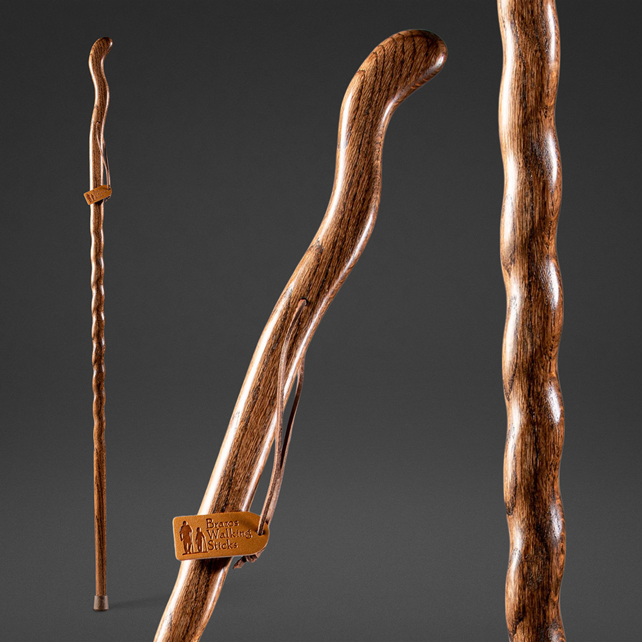 Detail Picture Of A Walking Stick Nomer 18