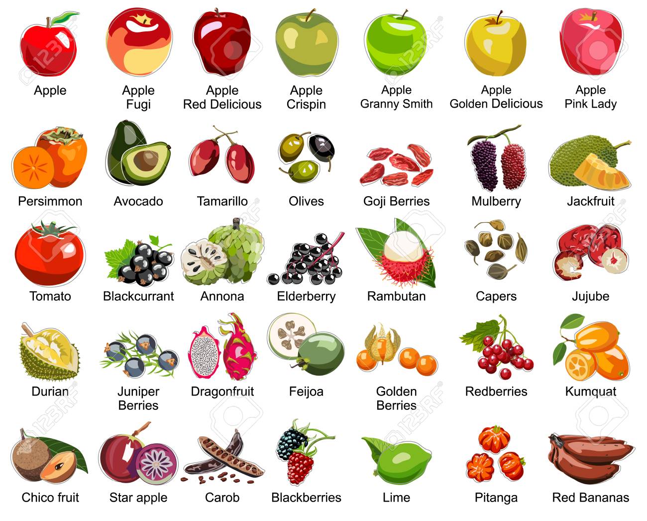 Detail Picture Of All Fruits Nomer 14
