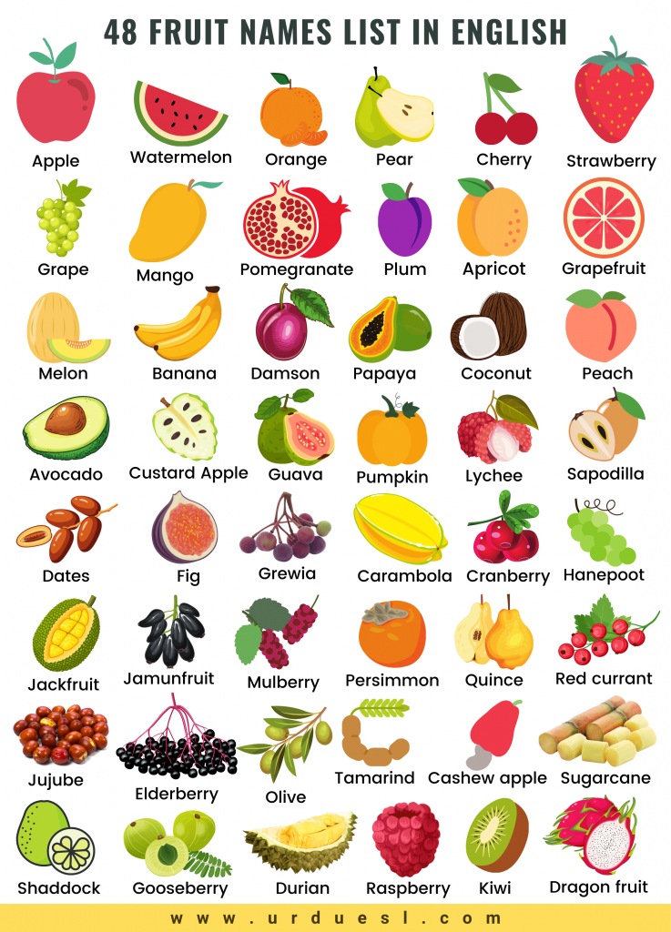 Detail Picture Of All Fruits Nomer 4