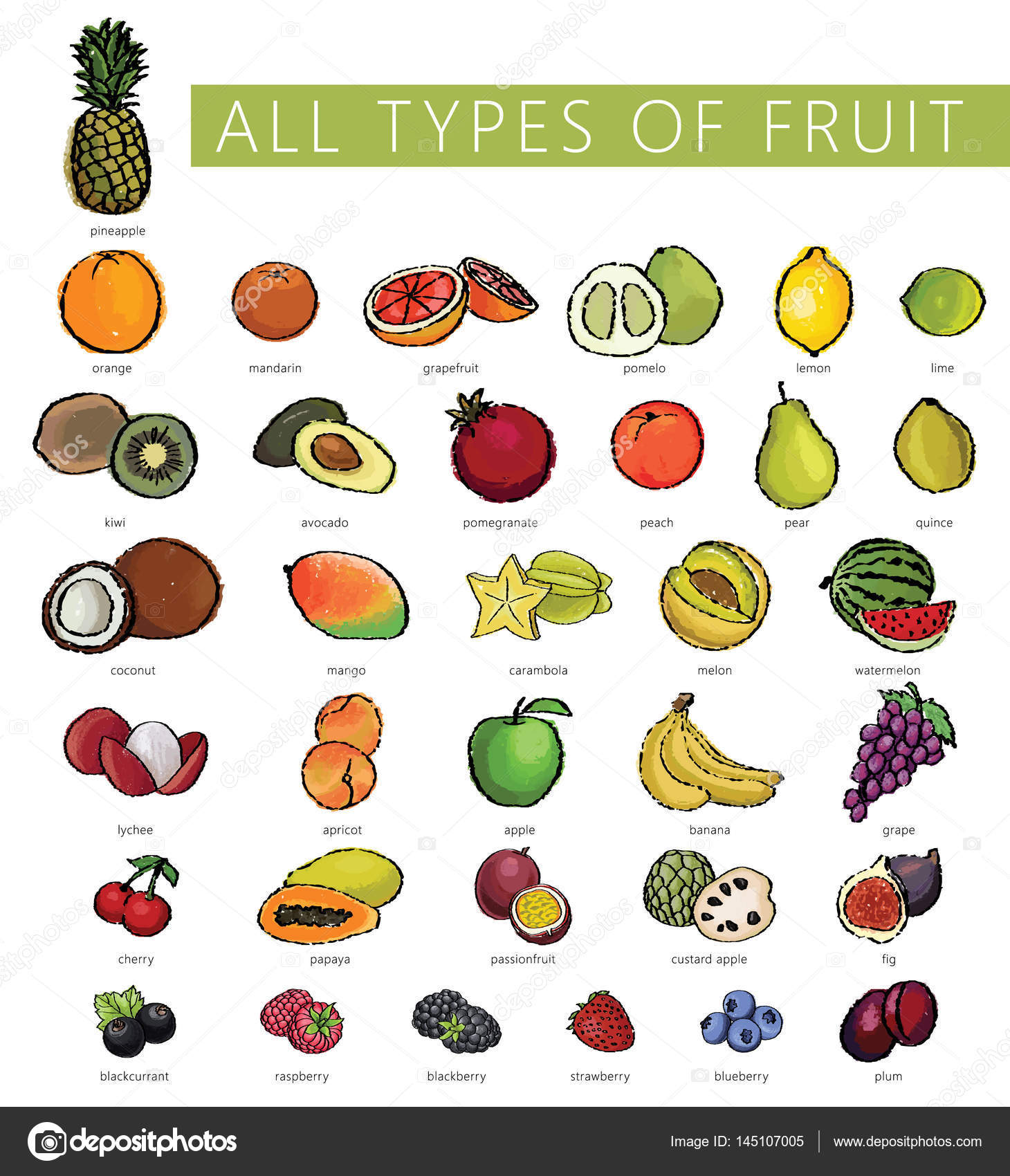 Detail Picture Of All Fruits Nomer 28