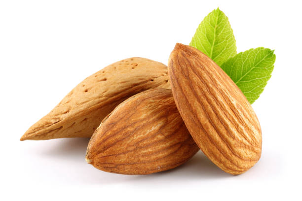 Detail Picture Of Almond Nuts Nomer 30