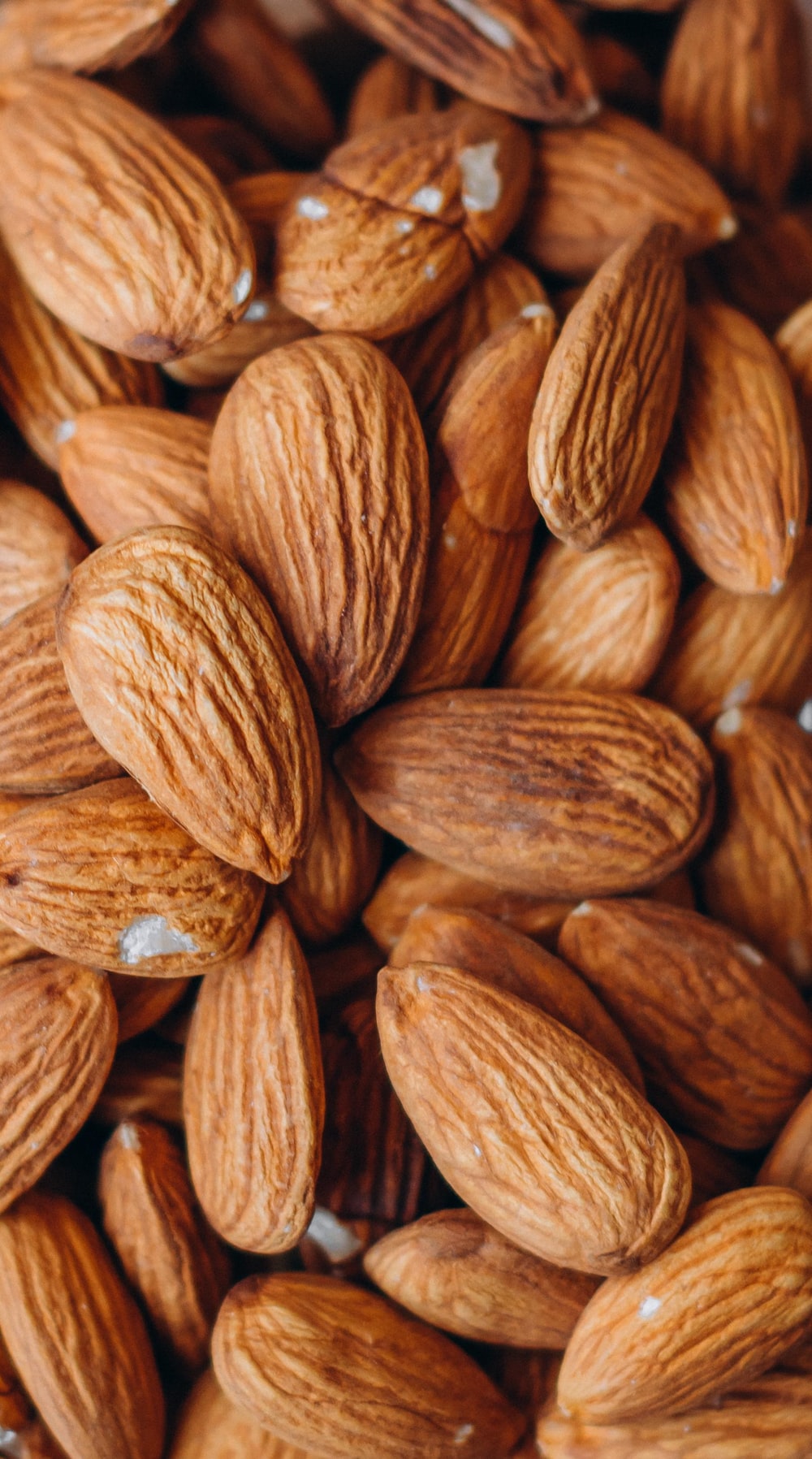 Detail Picture Of Almond Nuts Nomer 31