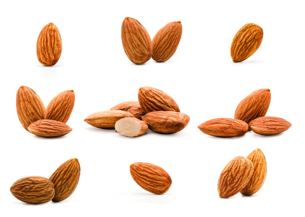 Detail Picture Of Almond Nuts Nomer 37