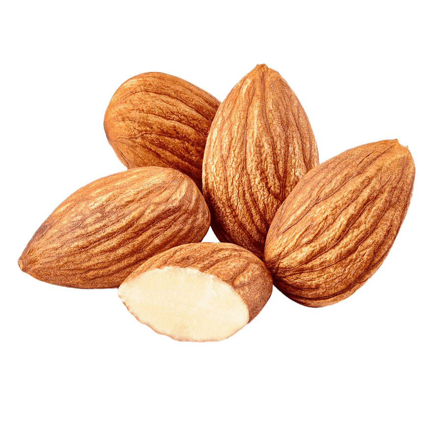 Detail Picture Of Almond Nuts Nomer 49