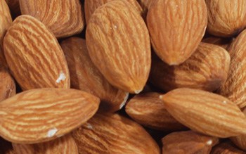 Detail Picture Of Almond Nuts Nomer 52