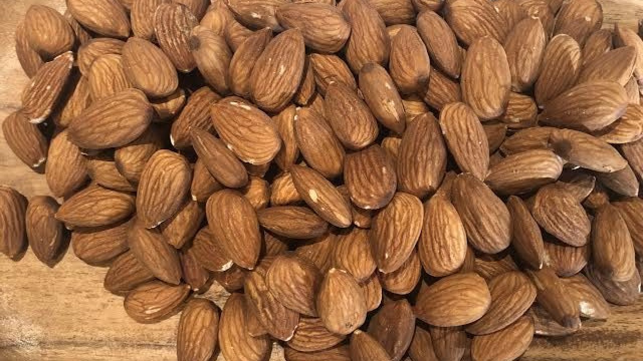 Detail Picture Of Almonds Nomer 47