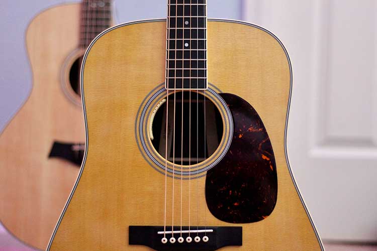 Detail Picture Of An Acoustic Guitar Nomer 25