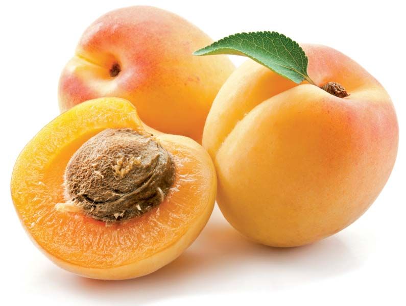 Detail Picture Of An Apricot Nomer 2