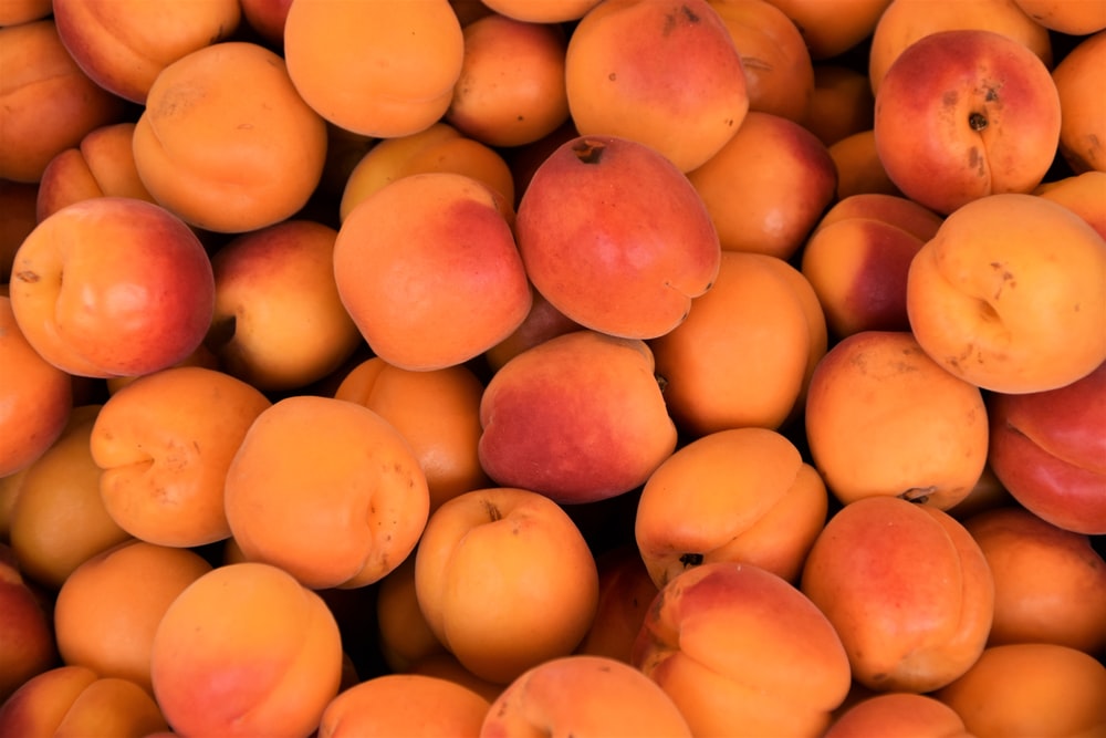 Detail Picture Of An Apricot Nomer 17