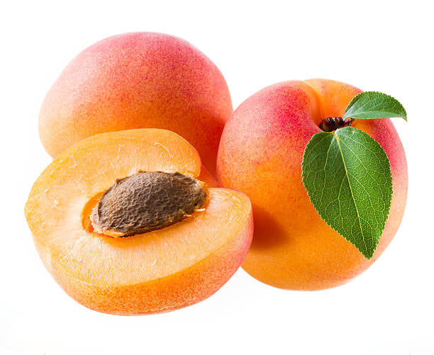 Detail Picture Of An Apricot Nomer 9