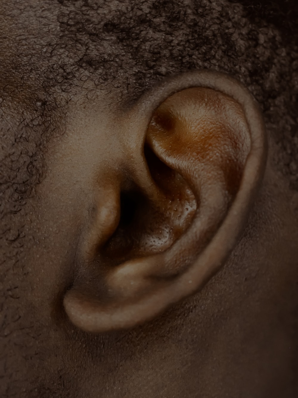 Detail Picture Of An Ear Nomer 22