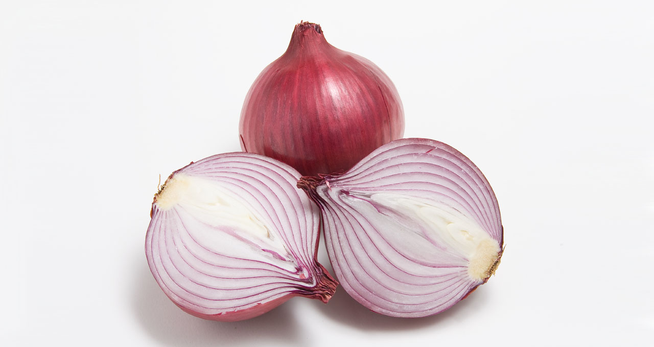 Detail Picture Of An Onion Nomer 19