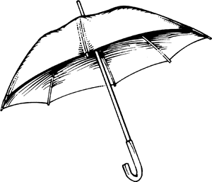 Detail Picture Of An Umbrella Nomer 17