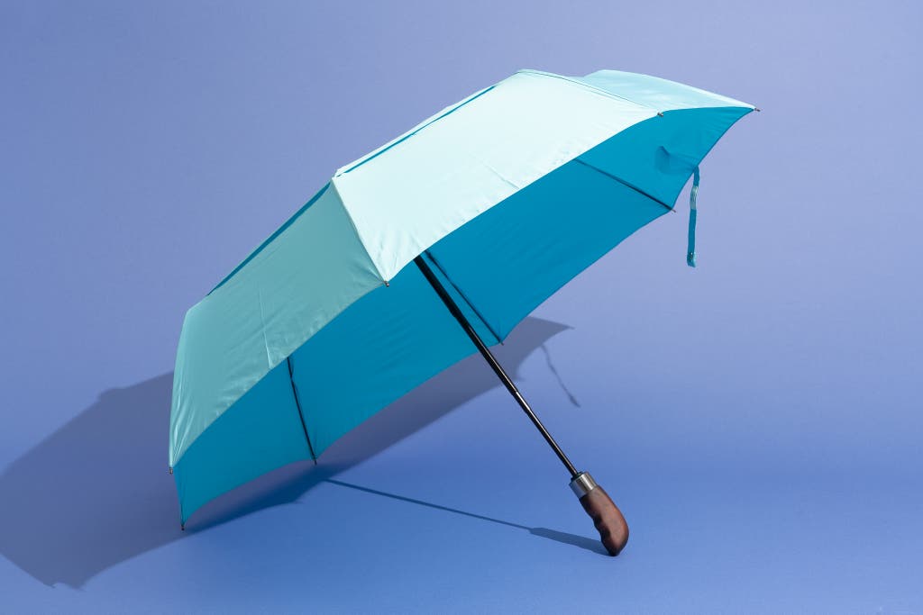 Detail Picture Of An Umbrella Nomer 18