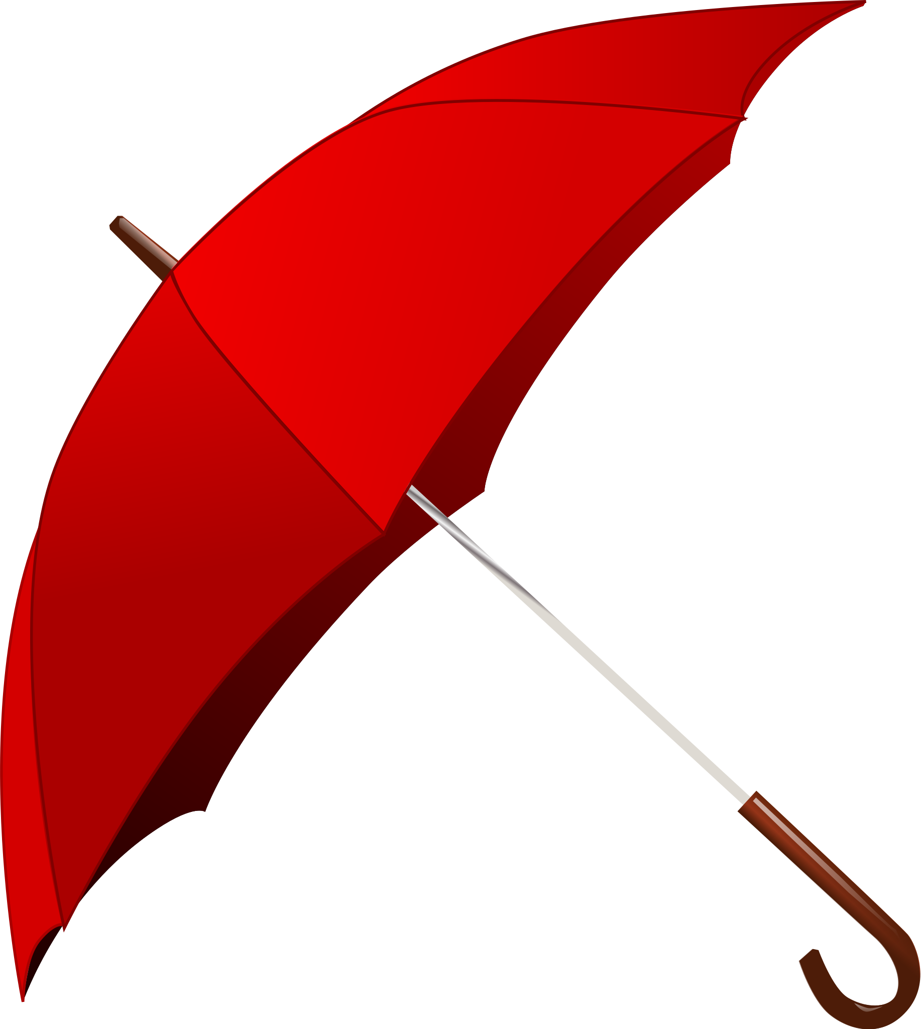 Detail Picture Of An Umbrella Nomer 5