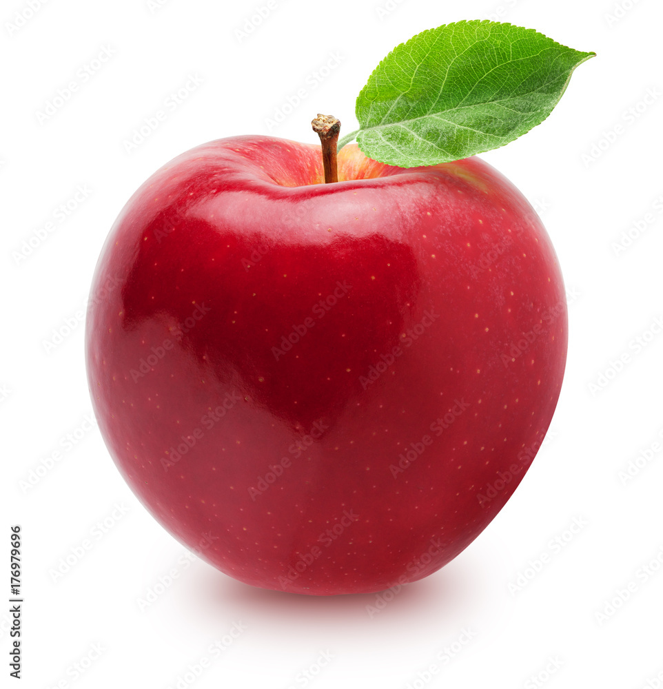 Detail Picture Of Apple Fruit Nomer 16