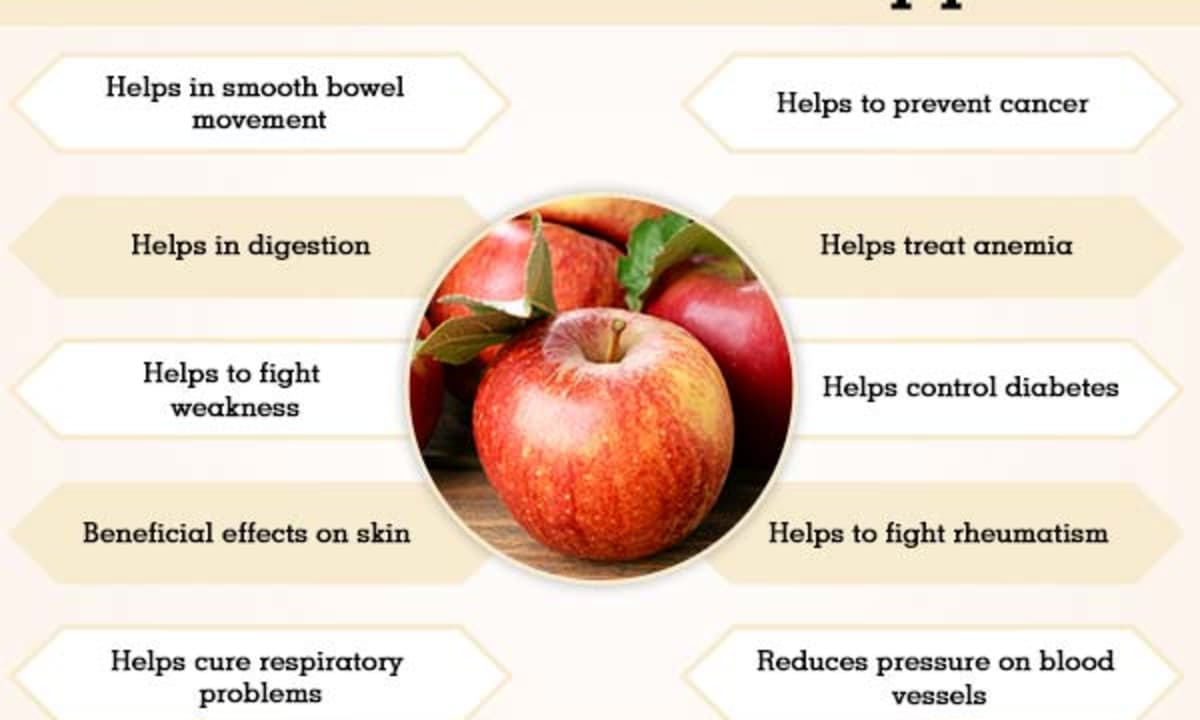 Detail Picture Of Apple Fruit Nomer 48