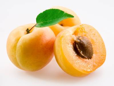 Detail Picture Of Apricot Fruit Nomer 15