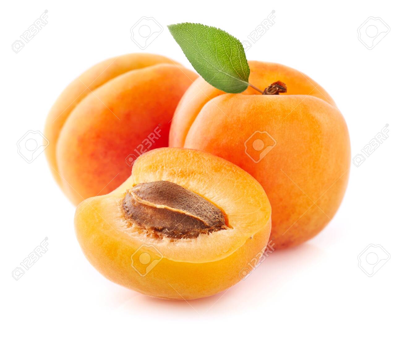 Detail Picture Of Apricot Fruit Nomer 3