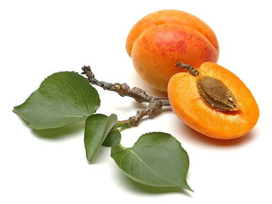 Detail Picture Of Apricot Fruit Nomer 30