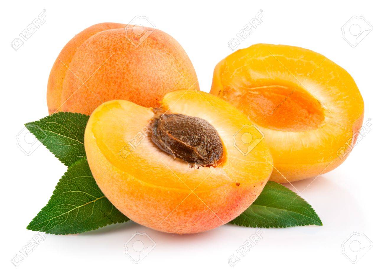 Detail Picture Of Apricot Fruit Nomer 44