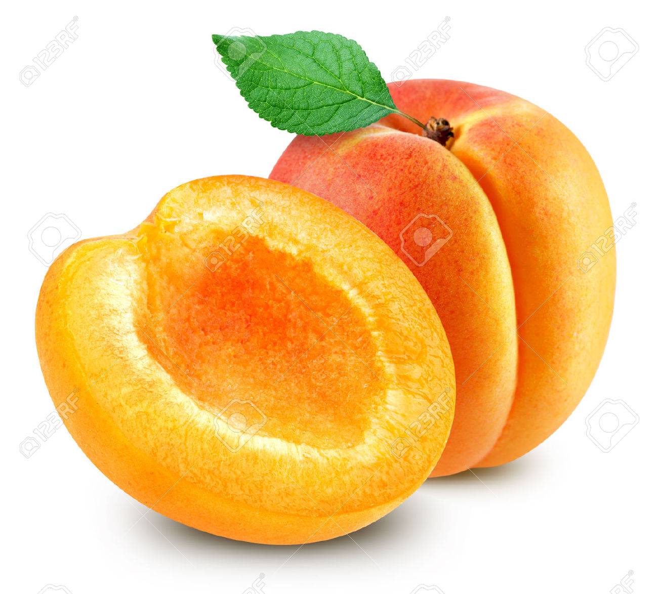 Detail Picture Of Apricot Fruit Nomer 7