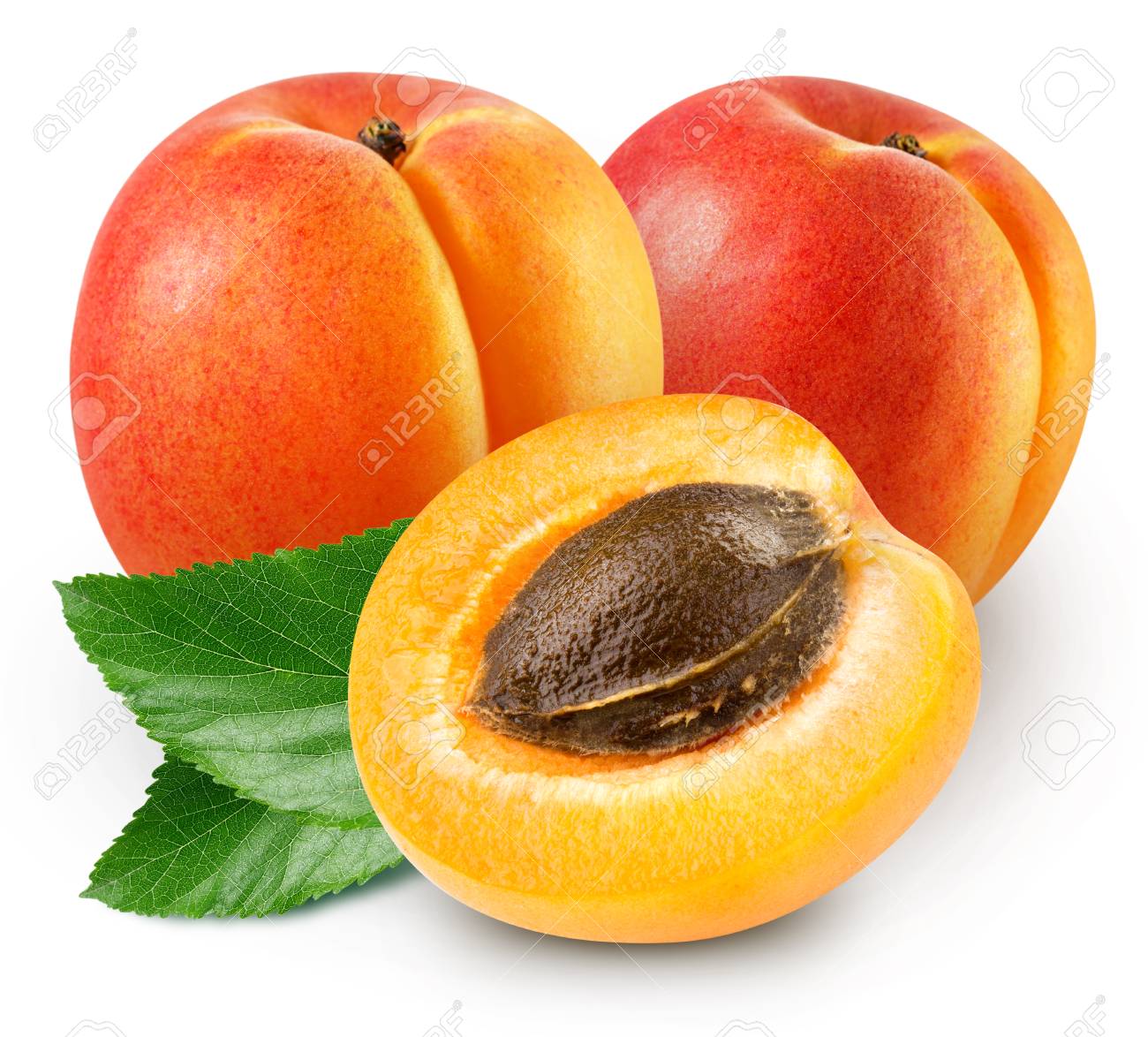 Detail Picture Of Apricot Fruit Nomer 9