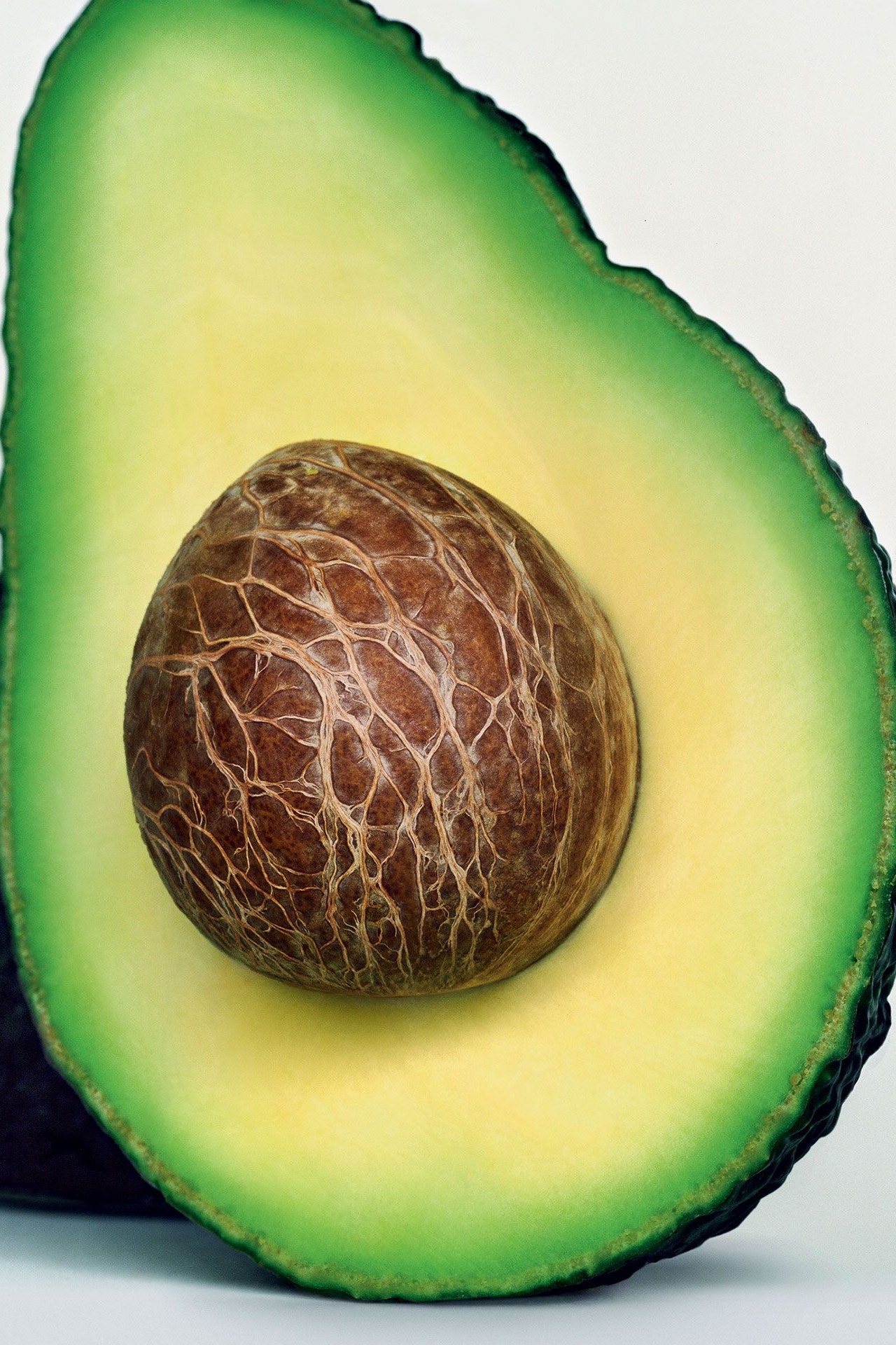 Detail Picture Of Avocado Nomer 36