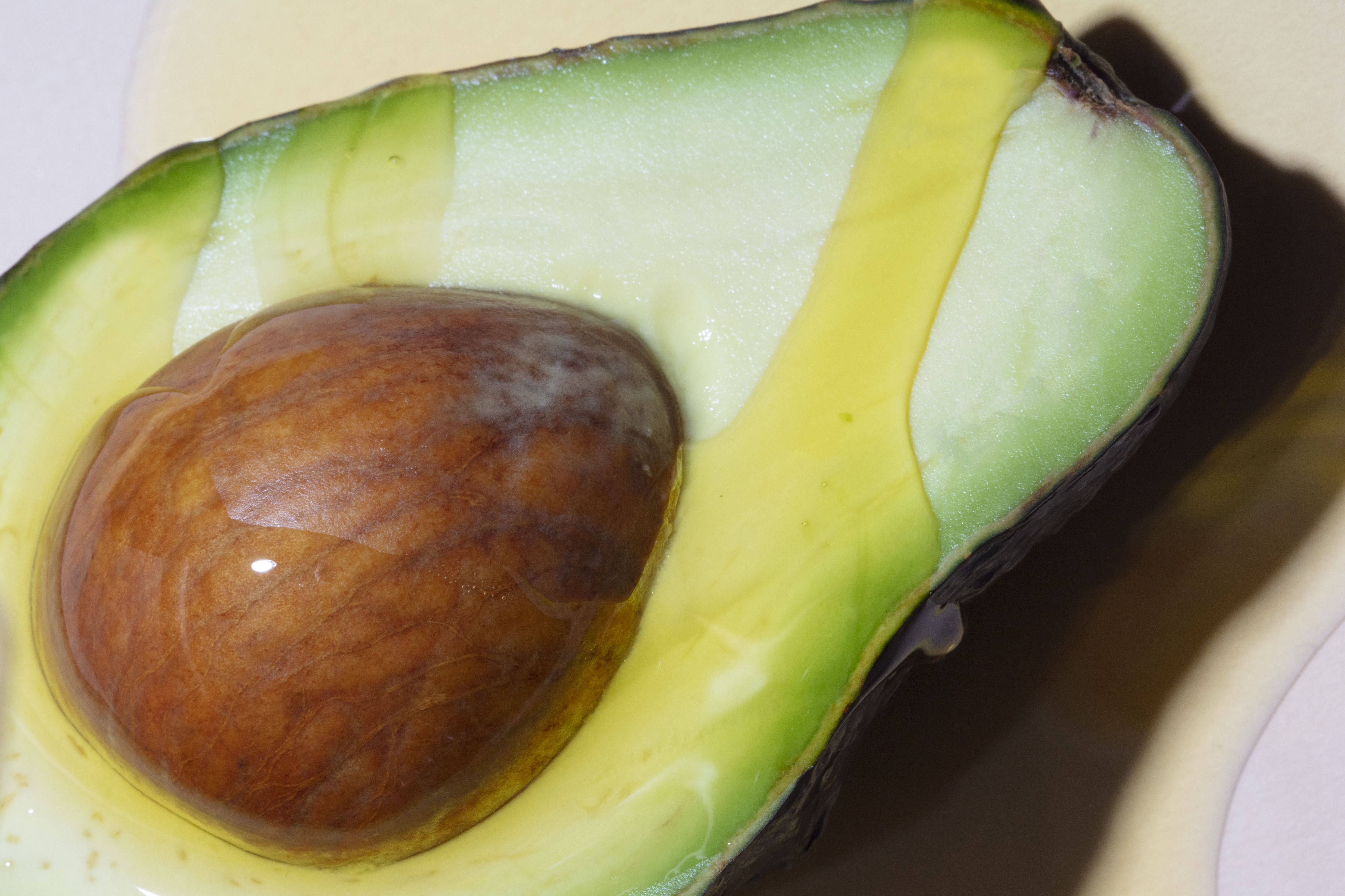 Detail Picture Of Avocado Nomer 45
