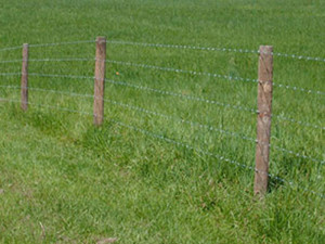 Detail Picture Of Barbed Wire Fence Nomer 17