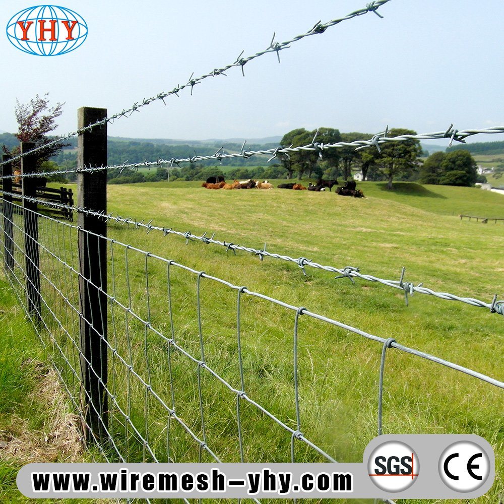 Detail Picture Of Barbed Wire Fence Nomer 20