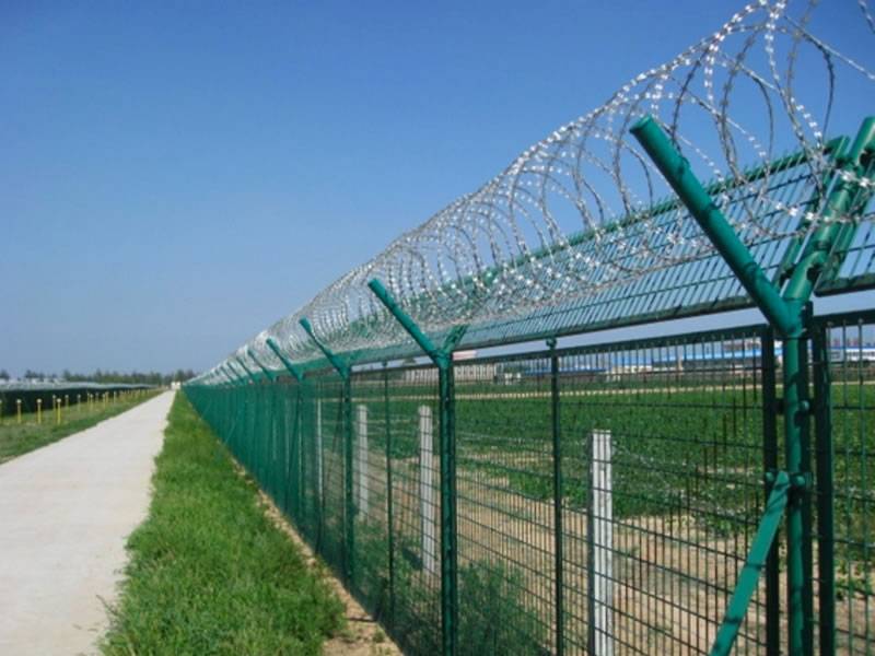 Detail Picture Of Barbed Wire Fence Nomer 24