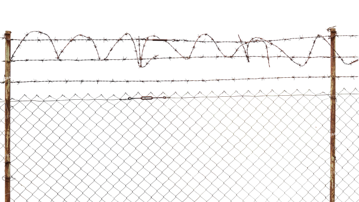 Detail Picture Of Barbed Wire Fence Nomer 29